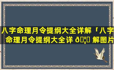 八字命理月令提纲大全详解「八字命理月令提纲大全详 🦉 解图片」